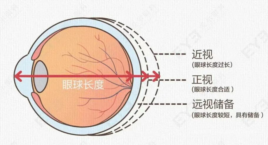 微信图片_2025-11-14_172315_888.png